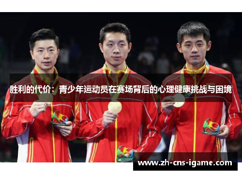 胜利的代价：青少年运动员在赛场背后的心理健康挑战与困境