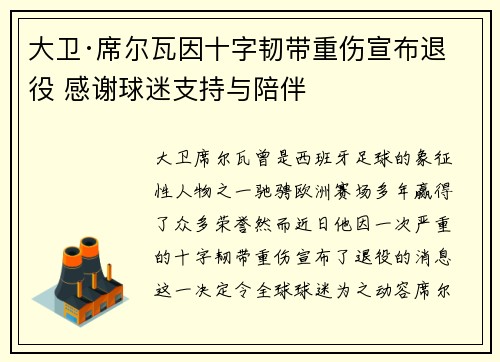大卫·席尔瓦因十字韧带重伤宣布退役 感谢球迷支持与陪伴